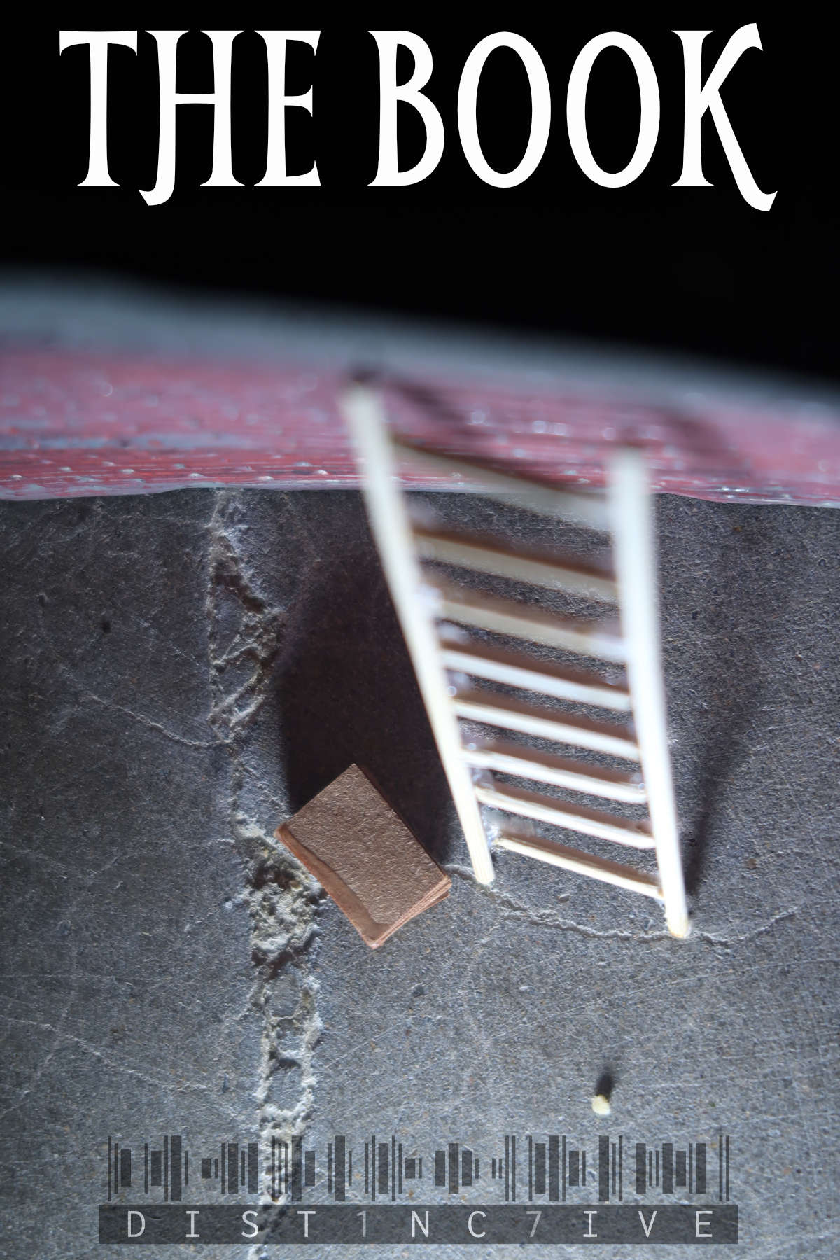 The Book cover image